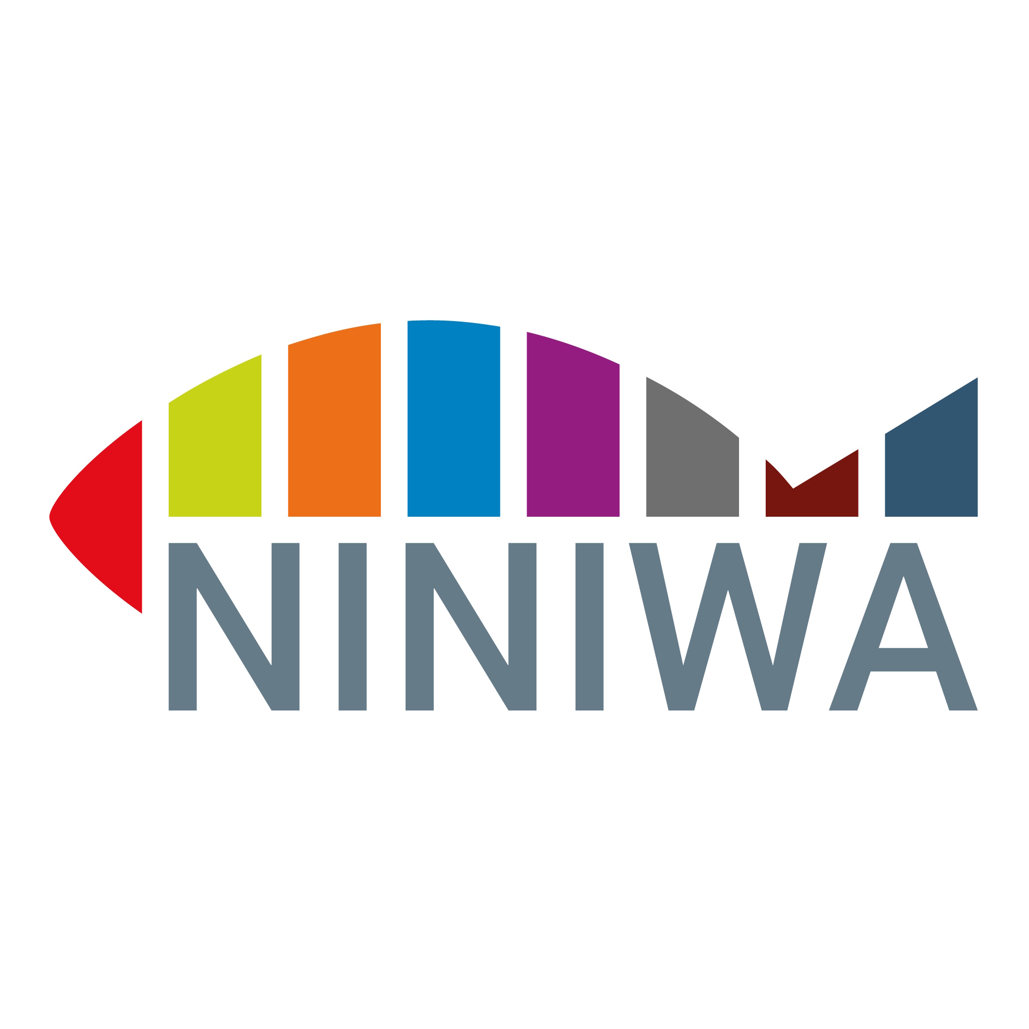 Niniwa i festiwal życia