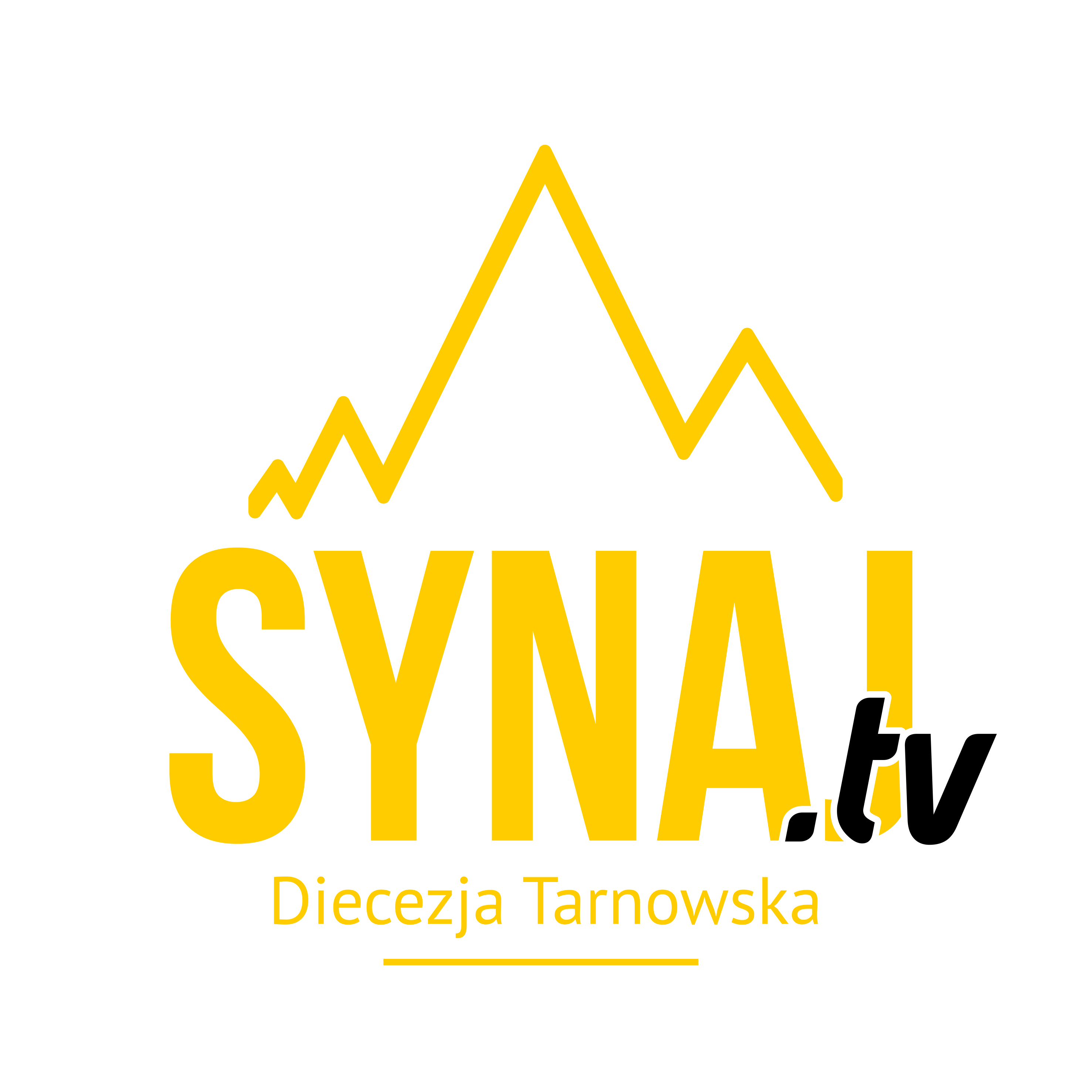 Synaj Tv